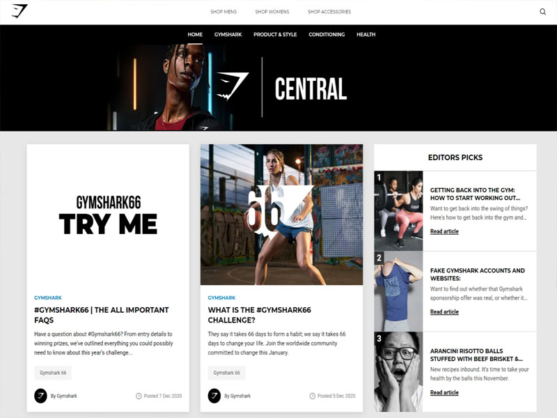 Blog Website